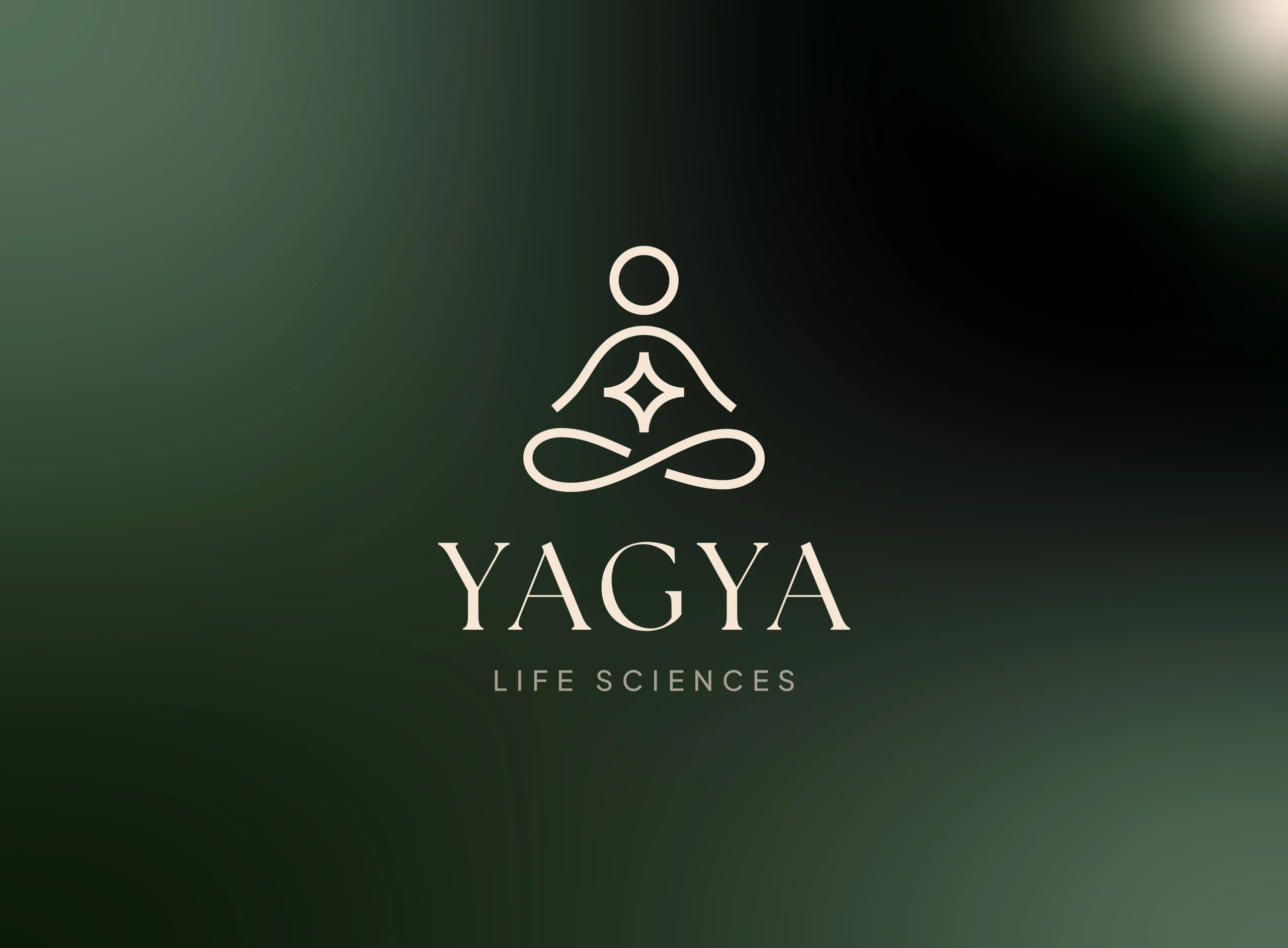 Logo and branding design for yagya