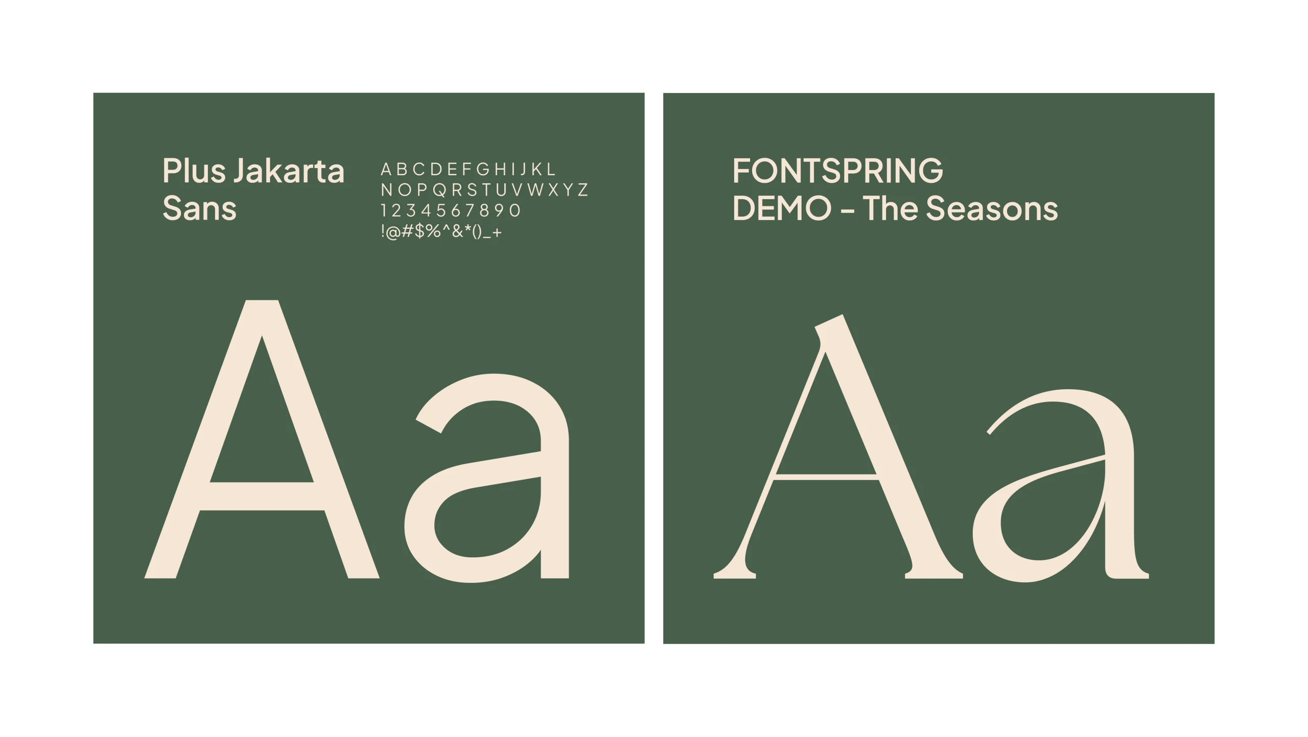 Logo and branding design for yagya